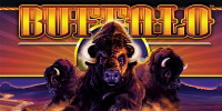 Buffalo | Aristocrat Casino Slots