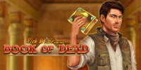 Book of Dead | Play'n GO