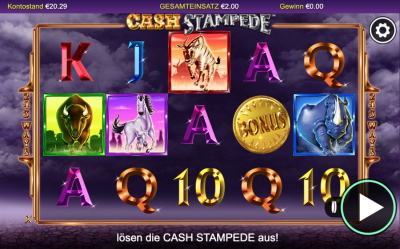 Cash Stampede Spielerlebnis | Nextgen