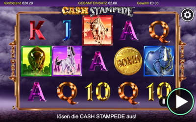 Cash Stampede Spielerlebnis | Nextgen