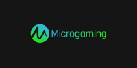 Microgaming - Softwareentwickler