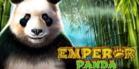 Panda Emperor Slot | RTG