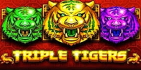 Triple Tigers - Pragmatic Play